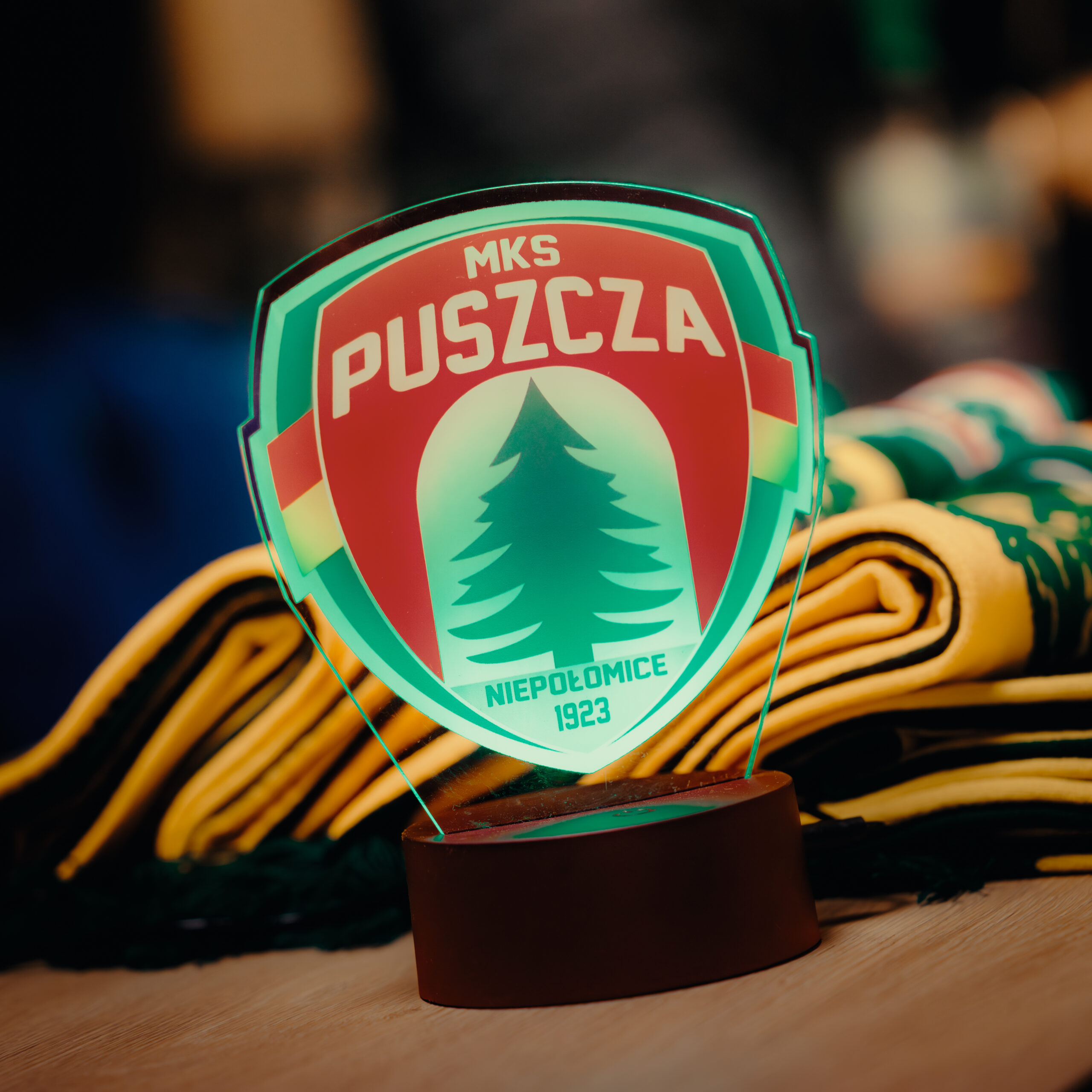 LAMPKA LED PUSZCZA NIEPOŁOMICE